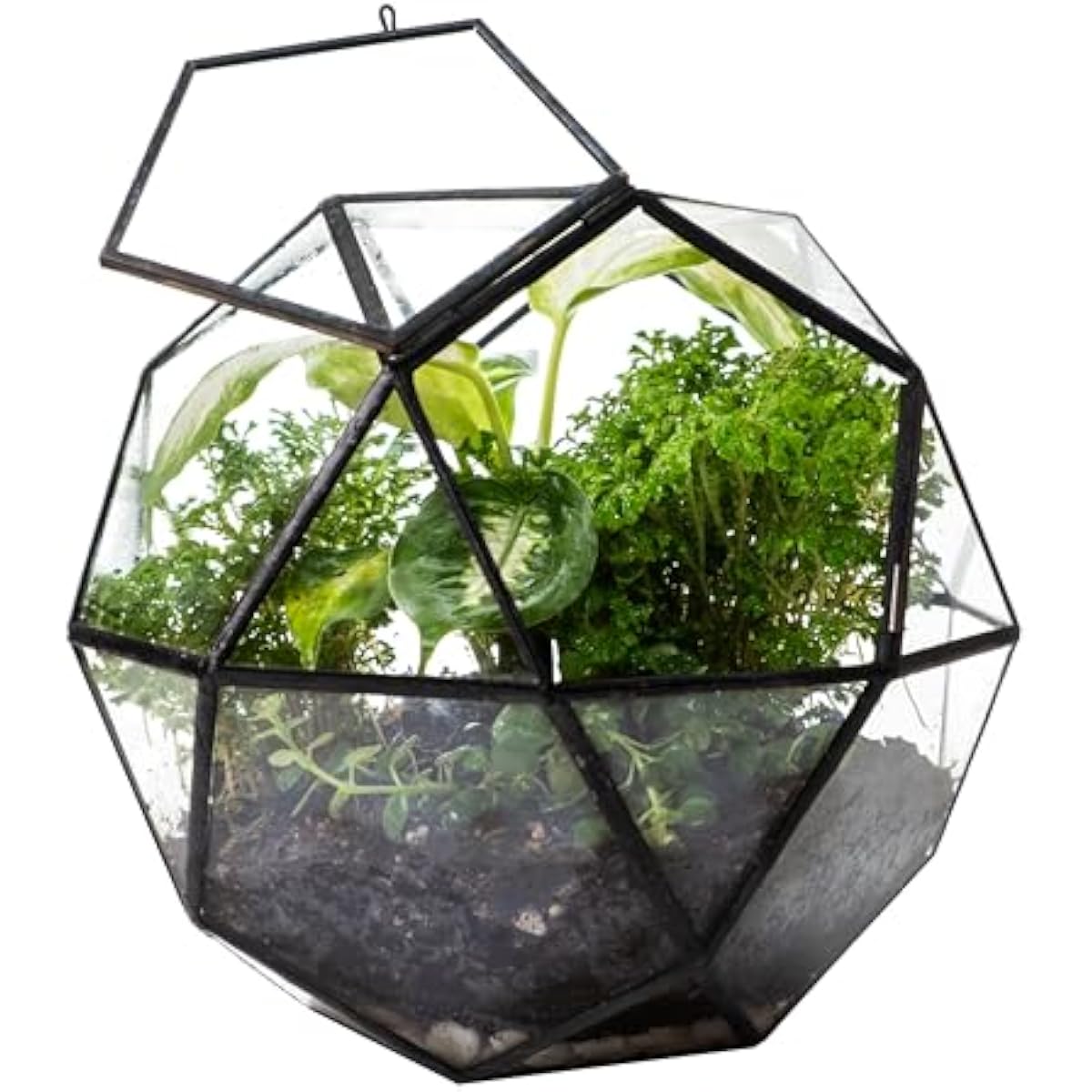Geometric Sphere Terrarium wit - đánh giá và giá Glass Door Hinge