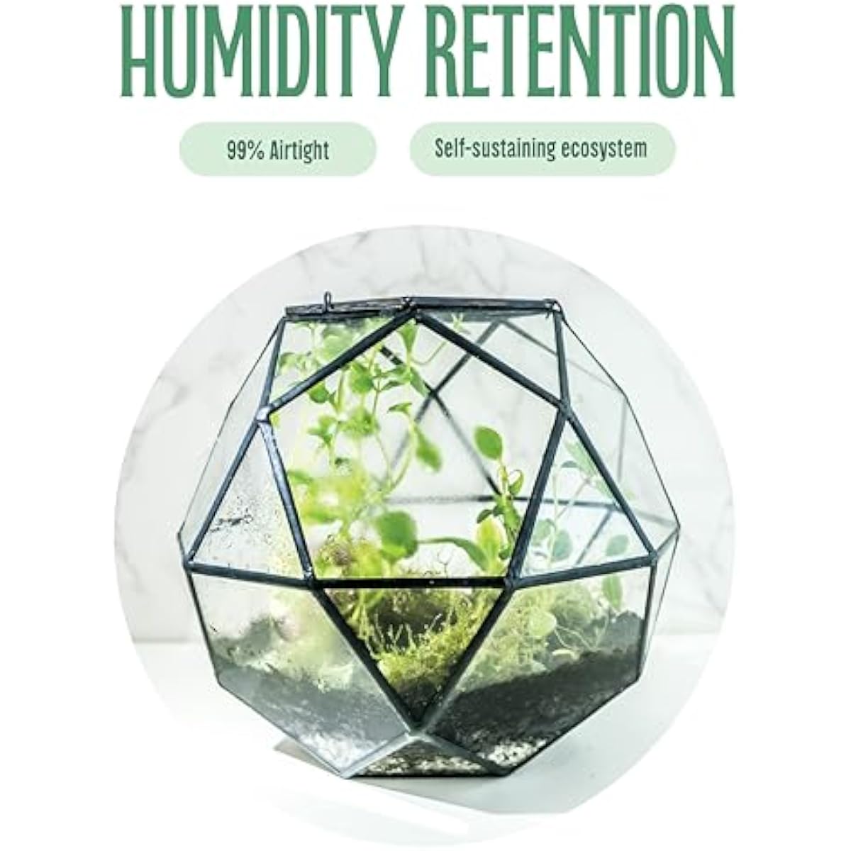 Geometric Sphere Terrarium wit - đánh giá và giá Glass Door Hinge